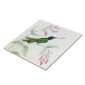 Goulds Hummingbird Tile Tegeltje (Zijkant)