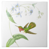 Goulds Hummingbird Tile Tegeltje (Voorkant)