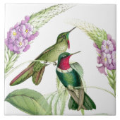 Goulds Hummingbird Tile Tegeltje (Voorkant)