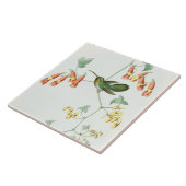 Goulds Hummingbird Tile Tegeltje (Zijkant)