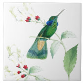 Goulds Hummingbird Tile Tegeltje (Voorkant)