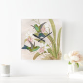 Goulds Hummingbird Wall klok (Huis)