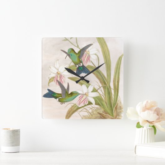 Goulds Hummingbird Wall klok (Huis)