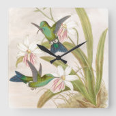 Goulds Hummingbird Wall klok (Voorkant)