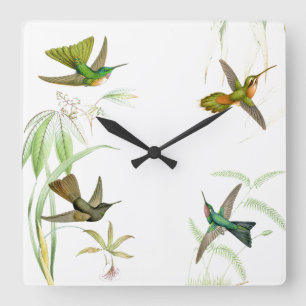 Goulds Hummingbird Wall klok