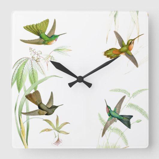 Goulds Hummingbird Wall klok (Voorkant)