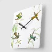 Goulds Hummingbird Wall klok (Hoek)
