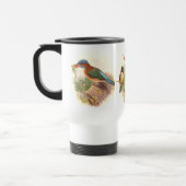 Goulds Kingfisher Birds Reisbeker (Links)