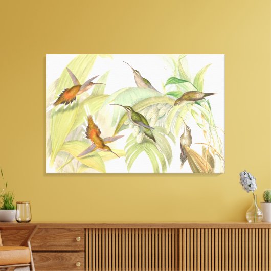 Goulds kolibries gewikkeld canvas Print (Insitu (Woonkamer))