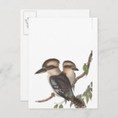 Goulds Kookaburra Australiana Aankondigingskaart (Voorkant / Achterkant)
