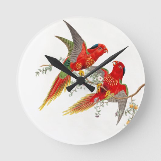 Goulds Lorikeet Birds Clock Ronde Klok (Voorkant)