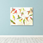Goulds Lorikeet Parrot Vogels Verpakt Canvas Print (Insitu (Houten vloer))