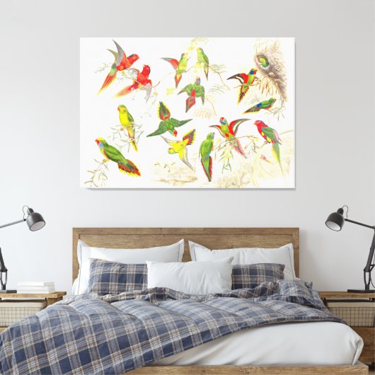 Goulds Lorikeet Parrot Vogels Verpakt Canvas Print (Insitu (Slaapkamer))