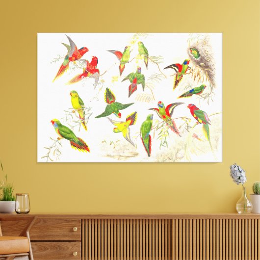 Goulds Lorikeet Parrot Vogels Verpakt Canvas Print (Insitu (Woonkamer))