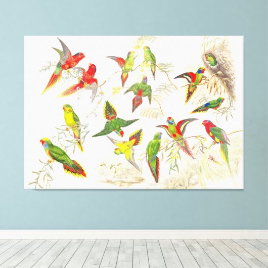 Goulds Lorikeet Parrot Vogels Verpakt Canvas Print (Insitu (Houten vloer))