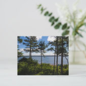 Gouldsboro Bay, Maine in Summer Briefkaart (Staand voorkant)