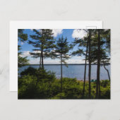 Gouldsboro Bay, Maine in Summer Briefkaart (Voorkant / Achterkant)