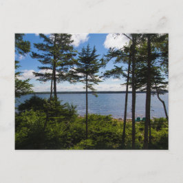 Gouldsboro Bay, Maine in Summer Briefkaart