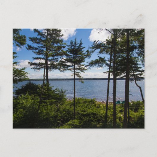 Gouldsboro Bay, Maine in Summer Briefkaart (Voorkant)