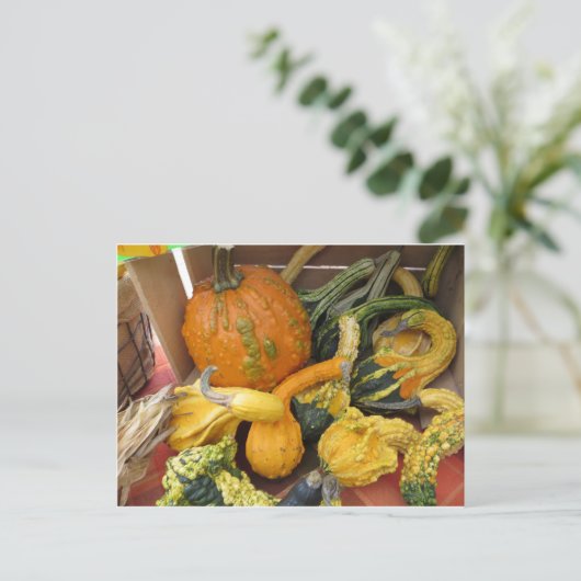 Gourd Assortment Briefkaart (Staand voorkant)