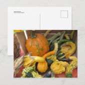 Gourd Assortment Briefkaart (Voorkant / Achterkant)