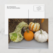 Gourd Assortment Briefkaart (Voorkant / Achterkant)
