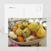 Gourd Basket Briefkaart (Voorkant / Achterkant)