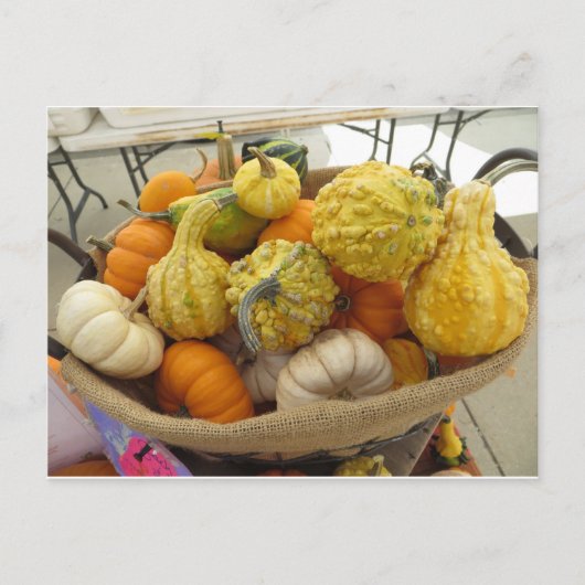 Gourd Basket Briefkaart (Voorkant)