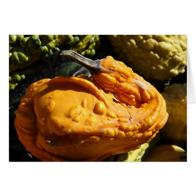 Gourd die lijkt op een sukkel (Voorkant Horizontaal)