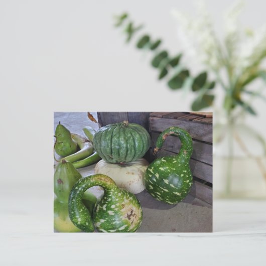 Gourds Briefkaart (Staand voorkant)