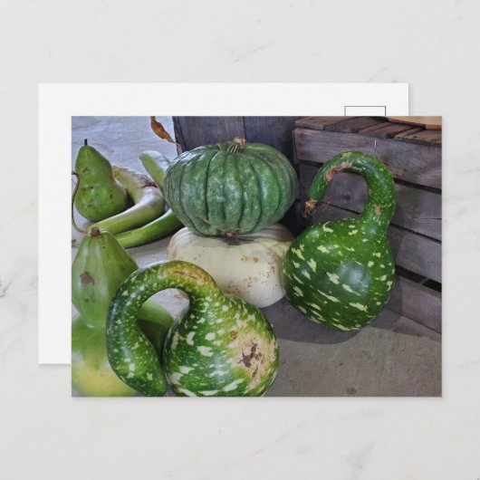 Gourds Briefkaart (Voorkant / Achterkant)