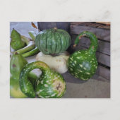 Gourds Briefkaart (Voorkant)