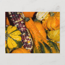 Gourds en Corn Herfst Food Photography Briefkaart