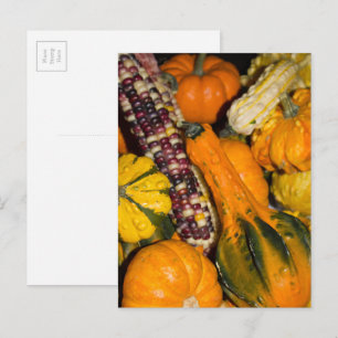 Gourds en Corn Herfst Food Photography Briefkaart