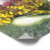 Gourds en pompoenen poster (Hoek)