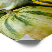 Gourds Galore Poster (Hoek)