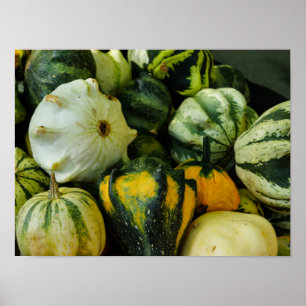 Gourds Galore Poster