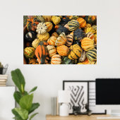 Gourds Galore. -poster Poster (Thuiskantoor)