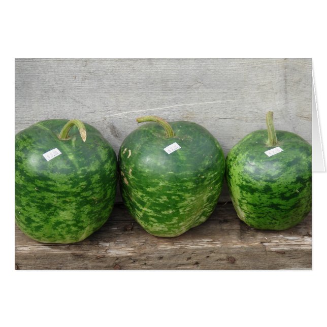 Gourds in een rij (Voorkant Horizontaal)