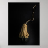 Gourds No 12 Color Version Poster (Voorkant)