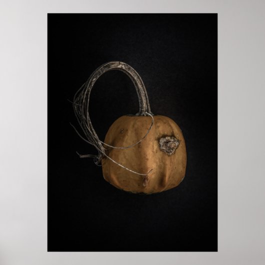 Gourds No 13 Color Version Poster (Voorkant)