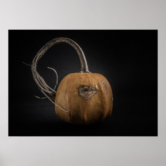 Gourds No 15 Color Version Poster (Voorkant)