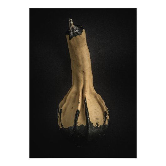 Gourds No 5 Color Version Foto Afdruk (Voorkant)