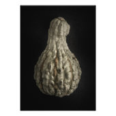 Gourds No 8 Color Version Foto Afdruk (Voorkant)