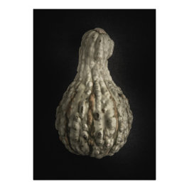 Gourds No 8 Color Version Foto Afdruk