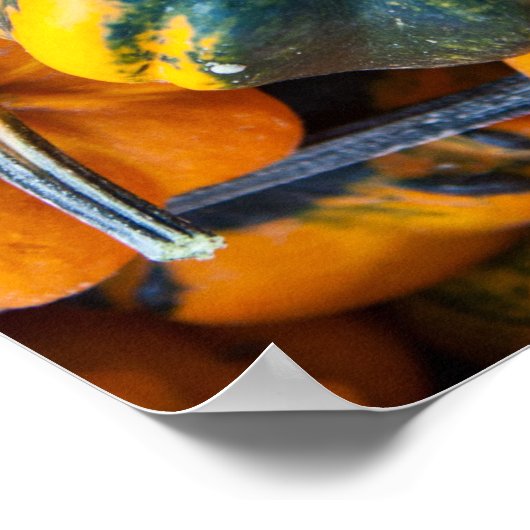 Gourds Poster (Hoek)