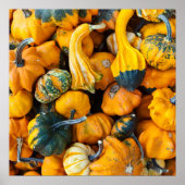 Gourds Poster (Voorkant)