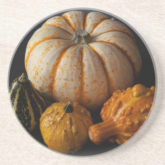 Gourds & Pumpkin Vignette Zandsteen Onderzetter (Voorkant)