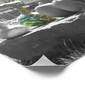 Gourds Pumpkins Cornstalks Partial Color Poster (Hoek)