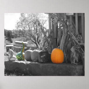 Gourds Pumpkins Cornstalks Partial Color Poster